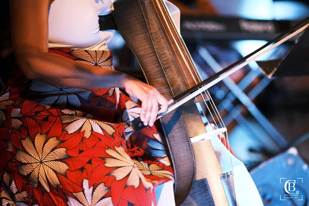 detalle electric cello